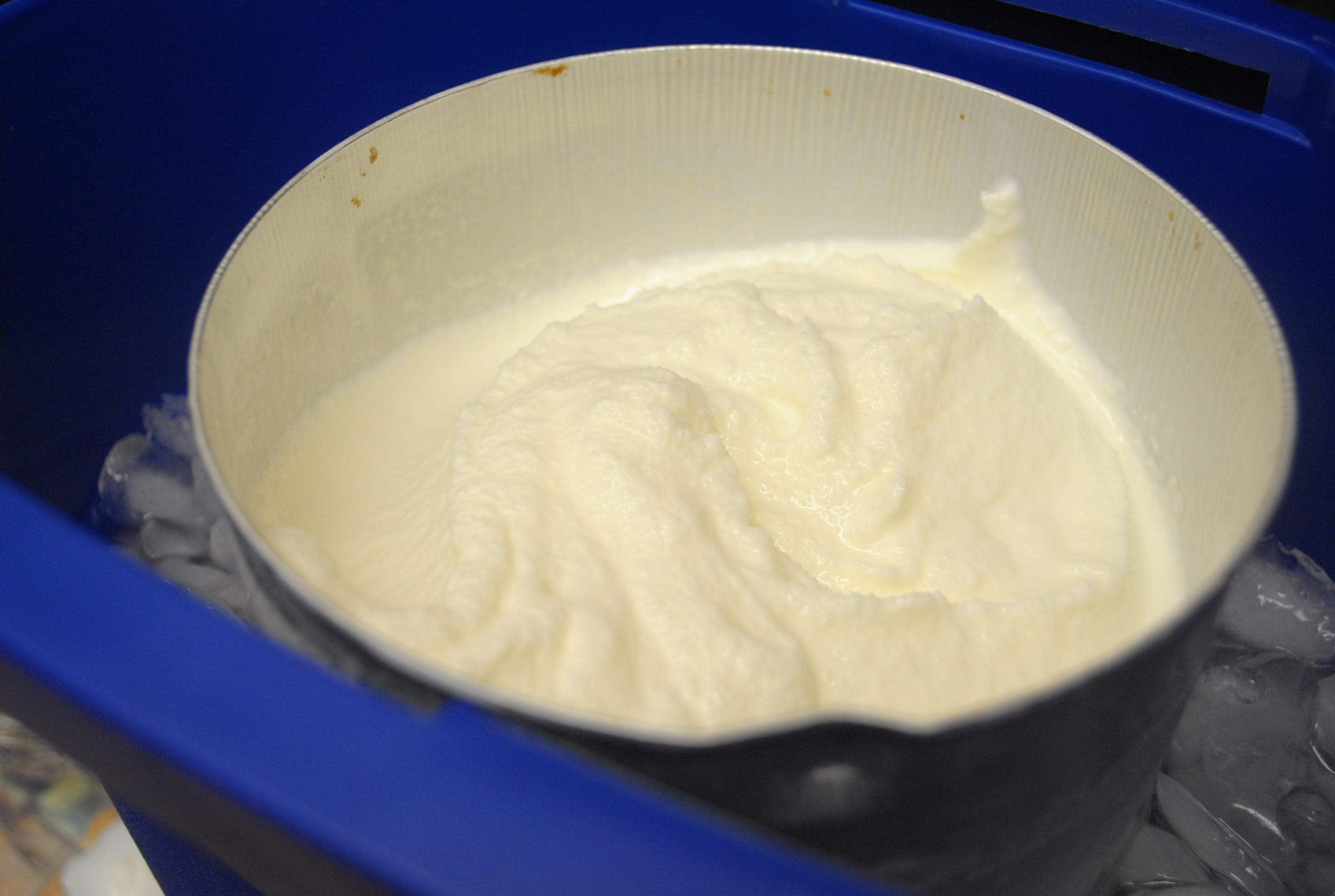 Low Fat Homemade Vanilla Ice Cream Mommy Hates Cooking
