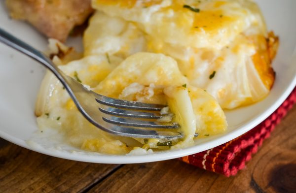 a bite of gluten-free scalloped potatoes on a fork