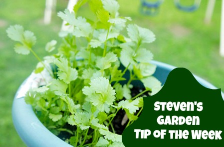 Gardening Tip