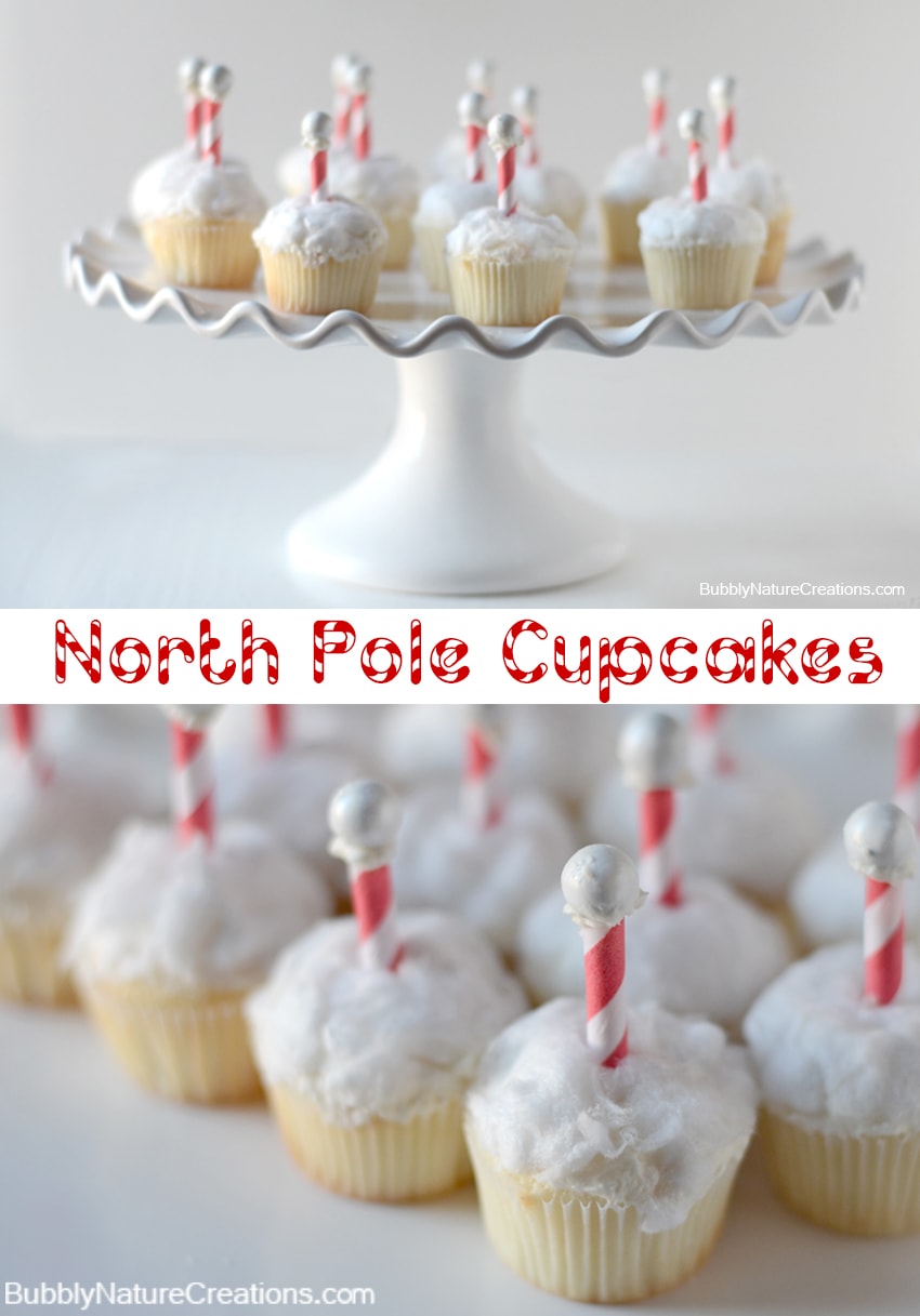 North Pole Cupcakes & Make Bake Create