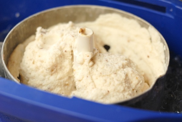 10 Easy Homemade Ice Cream Recipes