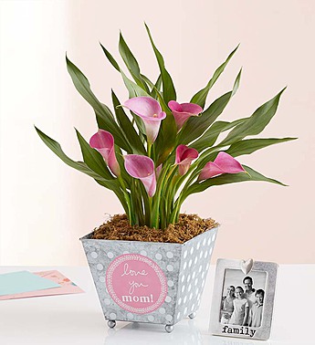 {Deal Alert} Celebrate Mom with 1800Flowers