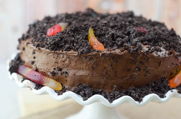 Dirt Worm Cake