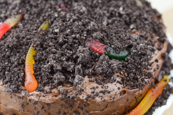 Dirt Worm Cake
