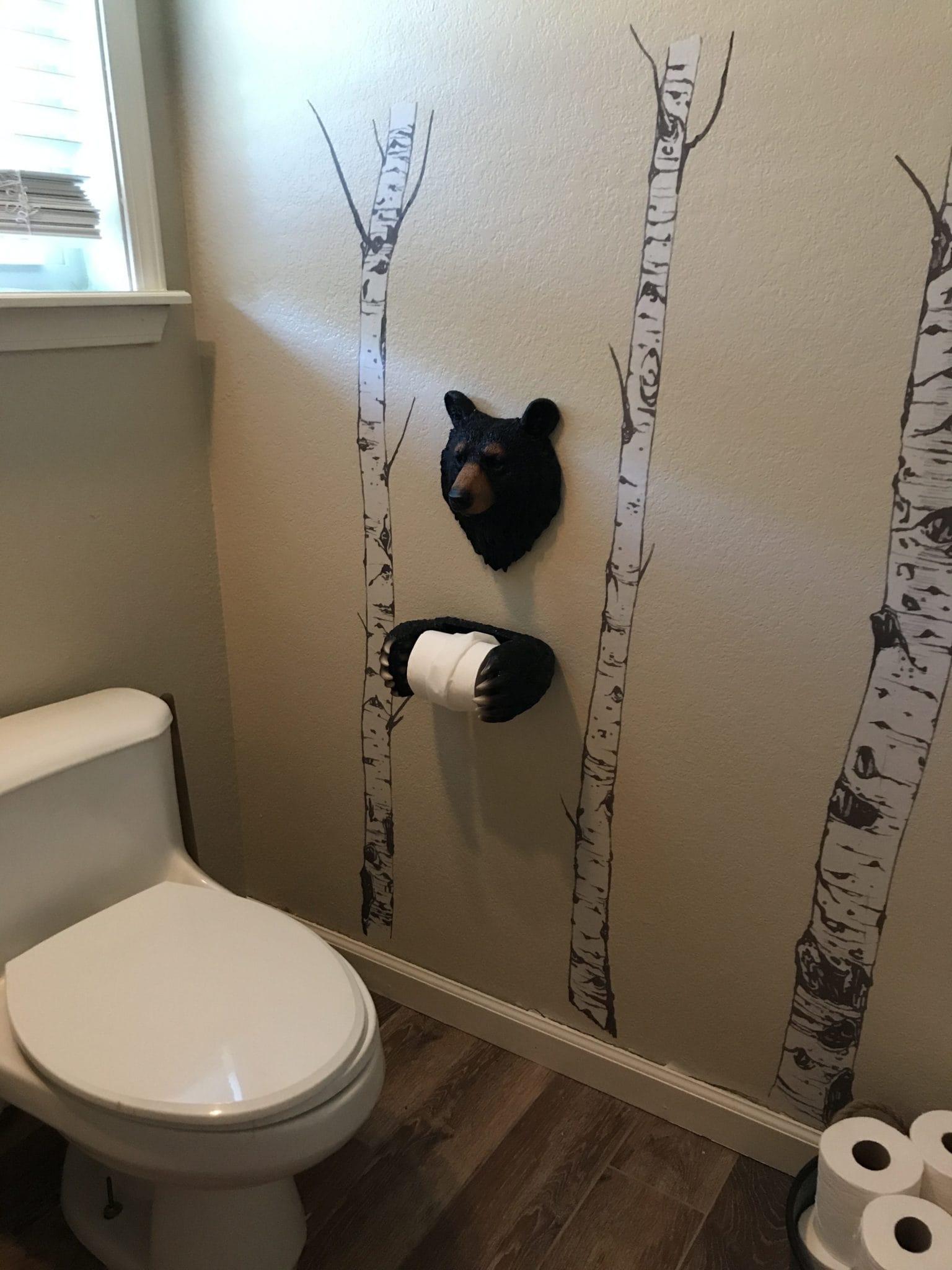 A Bear Bathroom Update