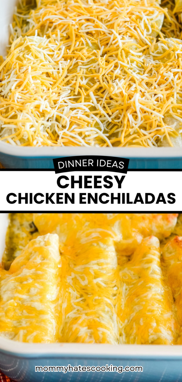 cheesy chicken enchiladas