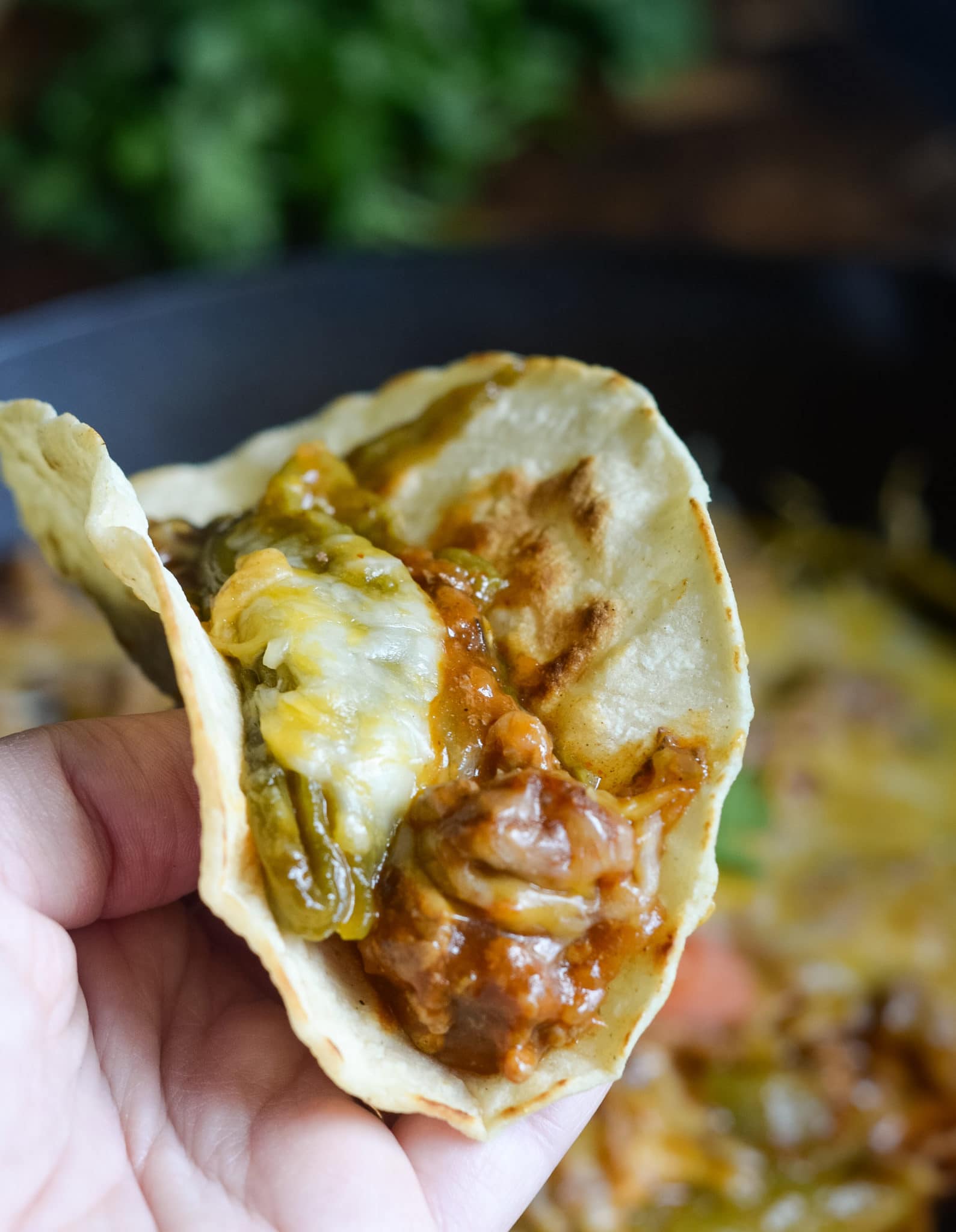 Hatch Chile Tacos With Roasted