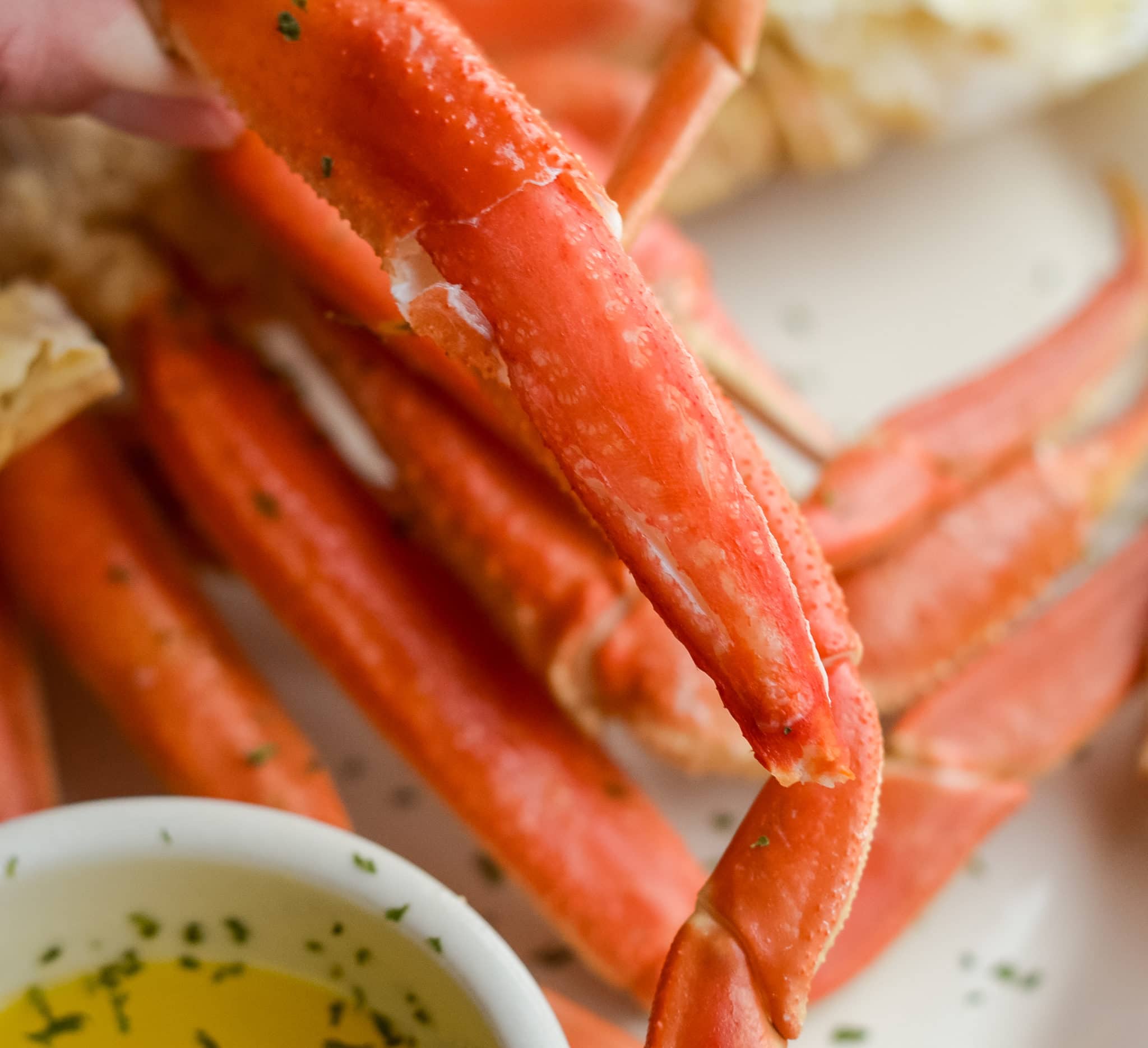 How to Make Crab Legs in the Ninja Foodi Mommy Hates Cooking