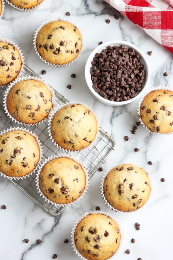 gluten-free chocolate chip muffins