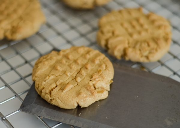 gluten-free peanut butter oatmeal cookies
