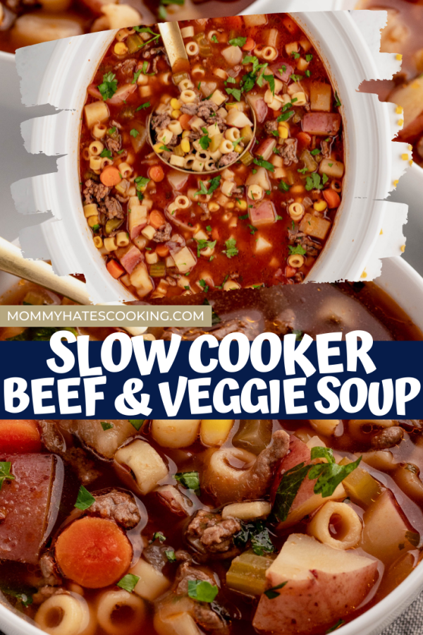 slow cooker beef and vegetable soup