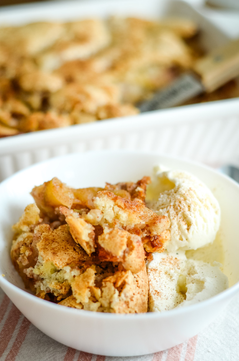 DAIRY FREE APPLE COBBLER RECIPE visual data 4