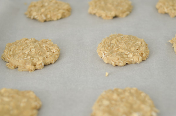 gluten free oatmeal cookies