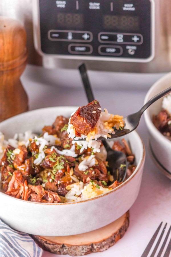 beef teriyaki slow cooker gluten free