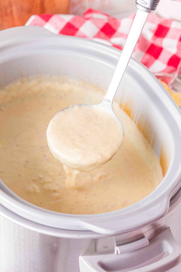 gluten free slow cooker baked potato soup