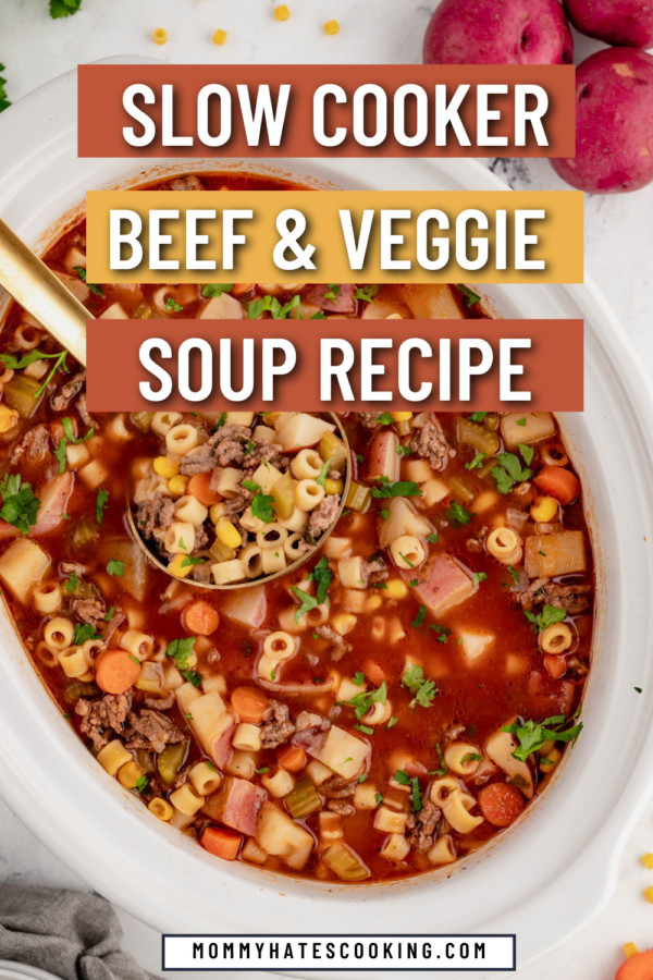 slow cooker beef and vegetable soup